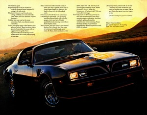 1977 Pontiac Firebird (Cdn)-02.jpg